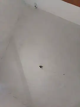 Perick72 online show from 8, 3, 2025