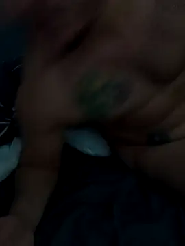 spidersA online show from 17, 4, 2026