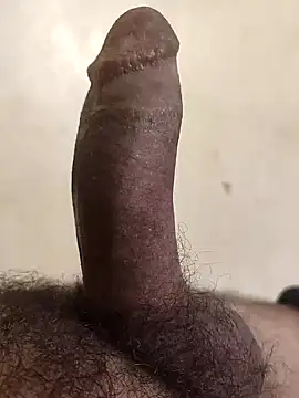 alkhabiir online show from 2, 11, 2025