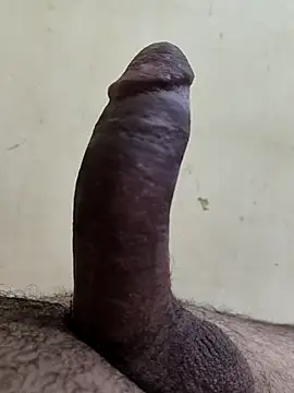 alkhabiir online show from 25, 11, 2025