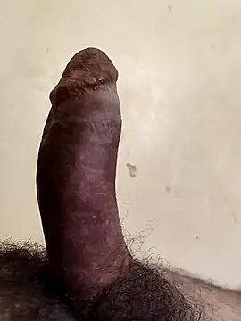 alkhabiir online show from 14, 2, 2026