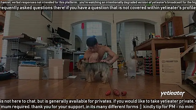 Snapshot of yetieater chatting on 16, 3, 2025 yetieater online show from 16, 3, 2025