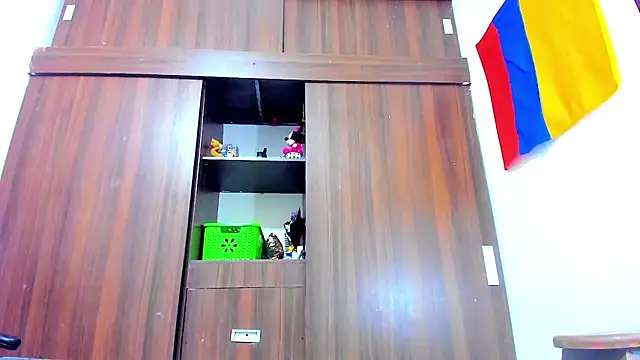 Snapshot of Dreamastercum_ chatting on 11, 2, 2026 Dreamastercum online show from 11, 2, 2026