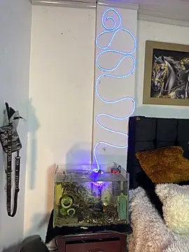 CRAZY-BOY99 online show from 16, 12, 2025