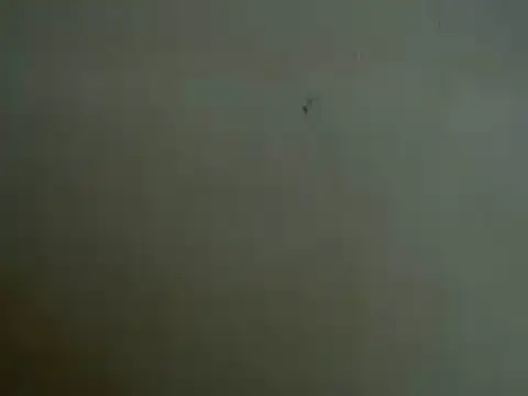 Snapshot of mayra89 chatting on 29, 3, 2026 mayra89 online show from 29, 3, 2026