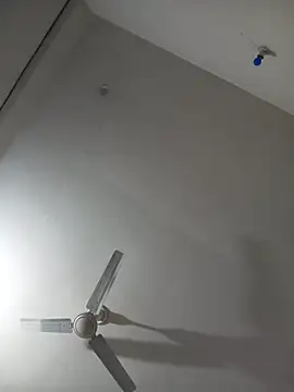 Neha-Bhabhi-Rasily online show from 14, 4, 2026