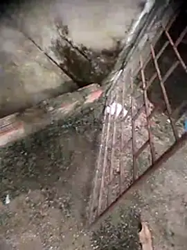 viviksmel online show from 19, 4, 2026