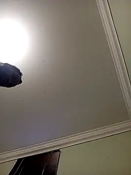 Latte1204 online show from 22, 4, 2026