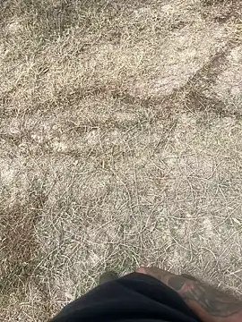 mikeg2392 online show from 7, 3, 2026