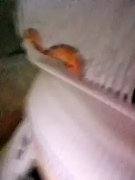 Snapshot of patrona_sexooo chatting on 11, 10, 2025 patrona sexooo online show from 11, 10, 2025