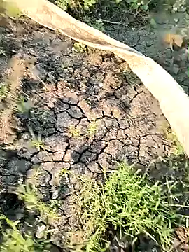 himvilohi08 online show from 21, 3, 2026