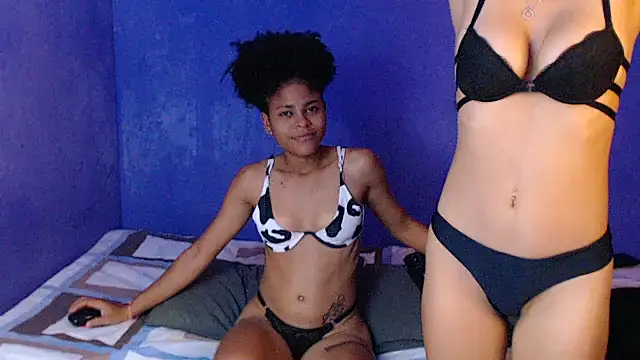 schelldo online show from 1, 11, 2025