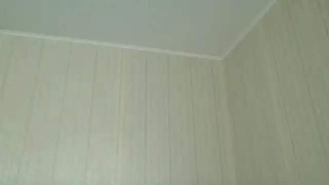  Black-Panther  online show from 25, 4, 2026