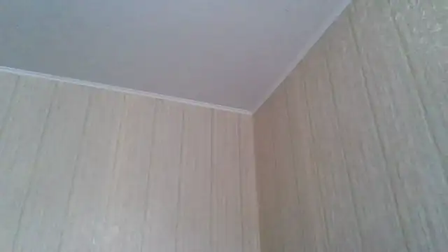 Snapshot of _Black-Panther_ chatting on 21, 5, 2026 Black-Panther online show from 21, 5, 2026