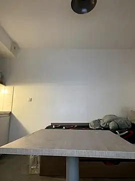 Renoirmonter online show from 2, 12, 2025