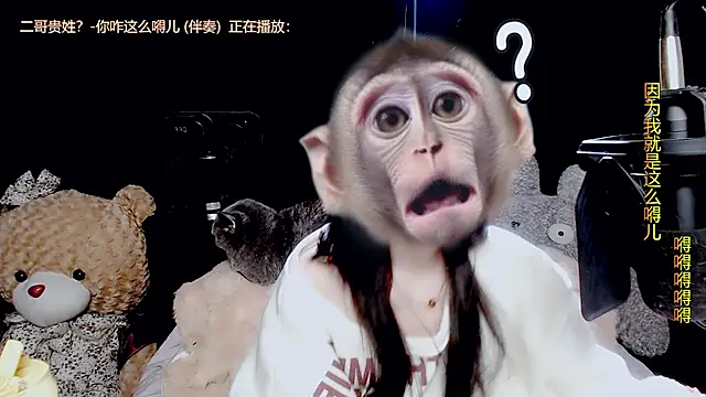 9ban online show from 13, 11, 2025