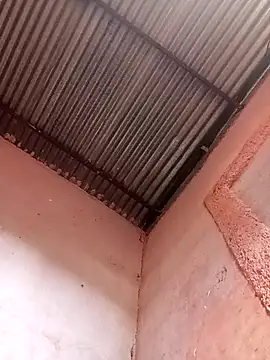 317894 online show from 21, 11, 2025