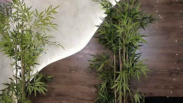 mia lacy  online show from 23, 11, 2025