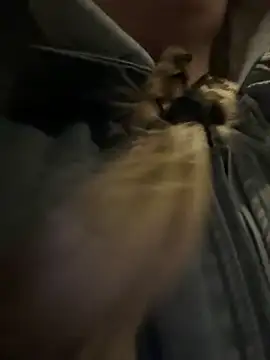 bambi lu online show from 15, 3, 2026