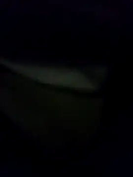 Snapshot of Hema0Hema chatting on 21, 2, 2026 Hema0Hema online show from 21, 2, 2026