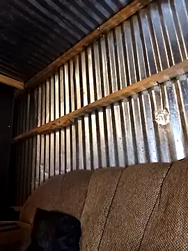 Thenaughtyboy360 online show from 21, 12, 2025