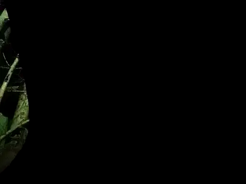 Snapshot of ConfidedAward chatting on 13, 9, 2025 ConfidedAward online show from 13, 9, 2025