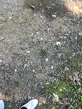 Snapshot of cihan_4141 chatting on 20, 10, 2025 cihan 4141 online show from 20, 10, 2025