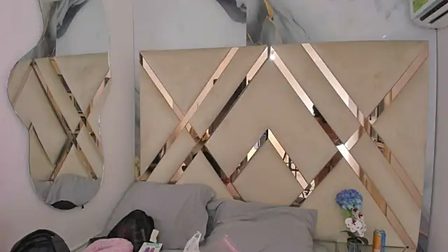 Snapshot of arixht chatting on 29, 9, 2025 arixht online show from 29, 9, 2025