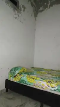 David tatto1 online show from 16, 4, 2026