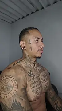 David tatto1 online show from 21, 5, 2026