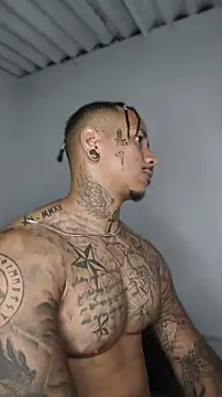 David tatto1 online show from 3, 6, 2026