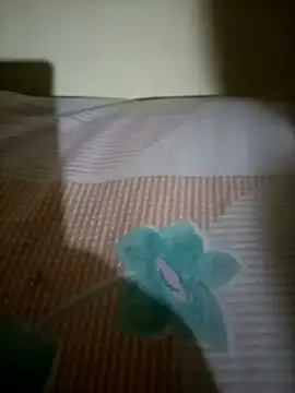 Snapshot of Nishi-2 chatting on 25, 9, 2025 Nishi-2 online show from 25, 9, 2025