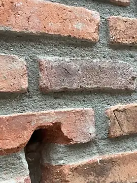 Snapshot of Jacksonfranco chatting on 11, 2, 2026 Jacksonfranco online show from 11, 2, 2026