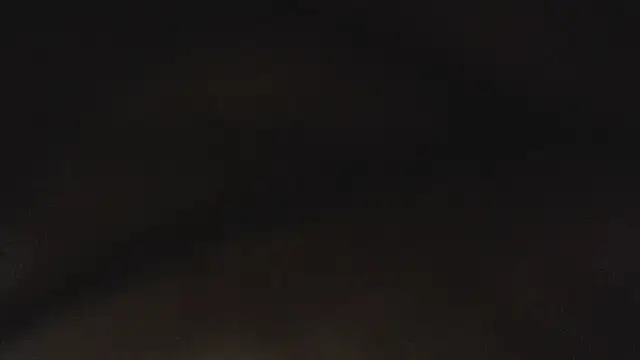 pink 7777 online show from 17, 4, 2026