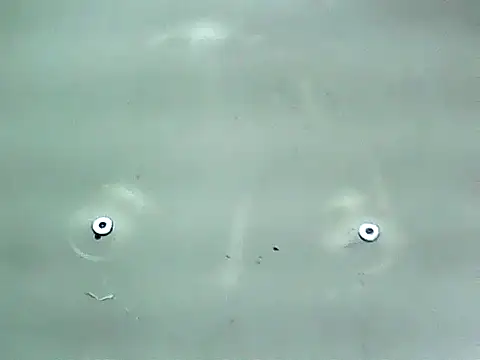 Snapshot of 20cmloiro chatting on 15, 1, 2026 20cmloiro online show from 15, 1, 2026