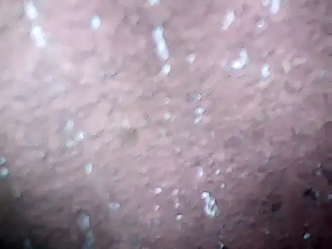 20cmloiro online show from 27, 2, 2026