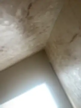 Snapshot of Noa_Todokoro chatting on 16, 10, 2025 Noa Todokoro online show from 16, 10, 2025