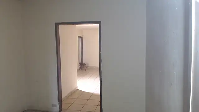 BlondZilla online show from 3, 4, 2026