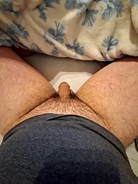 Pegasus9 online show from 7, 3, 2026