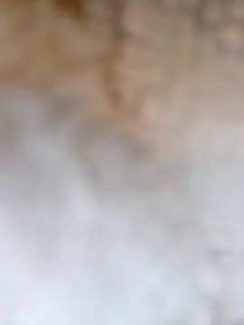 Radsjxh online show from 17, 12, 2025