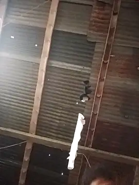 Snapshot of Davir2001 chatting on 1, 3, 2026 Davir2001 online show from 1, 3, 2026