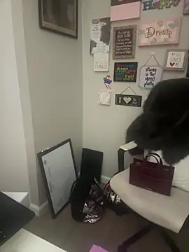 Snapshot of Juicystorm chatting on 11, 2, 2026 Juicystorm online show from 11, 2, 2026