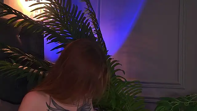 AriWild online show from 14, 6, 2026