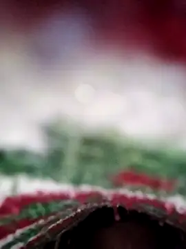 Snapshot of ParousFlow chatting on 13, 2, 2026 ParousFlow online show from 13, 2, 2026