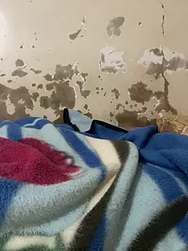 Snapshot of ParousFlow chatting on 6, 4, 2026 ParousFlow online show from 6, 4, 2026