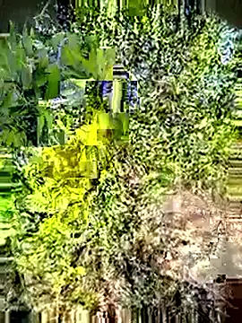 Snapshot of Desi_Horny_Boys chatting on 3, 5, 2026 Desi Horny Boys online show from 3, 5, 2026