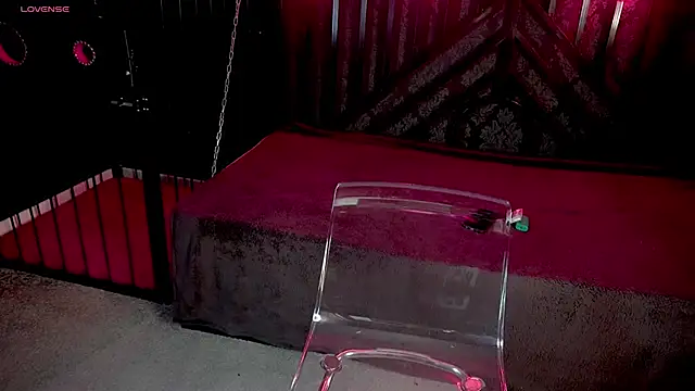 Snapshot of LiviaShy chatting on 2, 12, 2025 LiviaShy online show from 2, 12, 2025