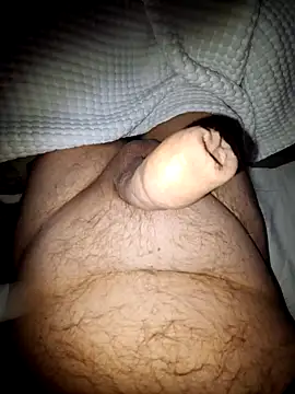 minnetird online show from 27, 10, 2025