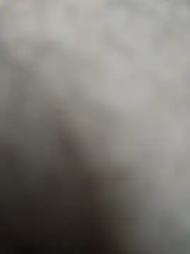 Snapshot of Leofj007 chatting on 4, 3, 2026 Leofj007 online show from 4, 3, 2026