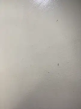 Issa Santana online show from 21, 2, 2026